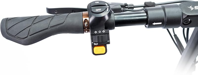 Speedway Pro - Patinete Eléctrico de 48V, 1000W Pot. Máxima, Batería 15Ah, Autonomía 60 Km, Ruedas de 10 Pulgadas Dual Grip, Suspensiones, Triple Frenada, Certificado DGT