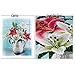 CITY DIY Diamond 5D Embroidery Paintings Rhinestone Pasted diy Christmas painting Cross Stitch (20x20, horse)