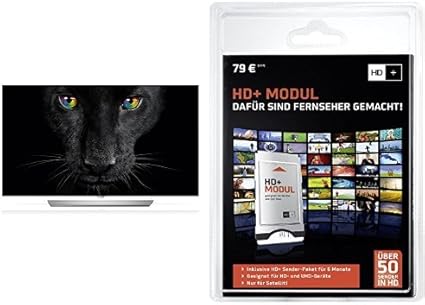 Lg 65ef9509 Oled Fernseher Ultra Hd Triple Tuner 3d Smart Tv Hd Plus Ci Modul Fur 6 Monate Inkl Hd Karte Optimal Geeignet Fur Uhd Nur Fur Satellitenempfang Bundle Amazon De Heimkino Tv