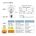 LIGHTSTORY Starry LED Bulb, E26 Base 2200K A19 Edison Decorative LED Light Bulbs, Non-Dimmable