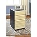 Ameriwood Home Altra Furniture 9523096 Pursuit Mobile File Cabinet, Gray