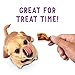 Purina Beggin' Strips With Real Meat Dog Training Treats With Bacon and Cheese Flavors - 40 Ounce (Pack of 1)