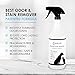 NonScents Stain & Odor Eliminator Spray for Strong Odor - 32 oz - Pet Odor Eliminator for Home - Carpet Stain Remover for Cats and Dog Pee - Cat Urine Destroyer - Carpet Cleaner Spray