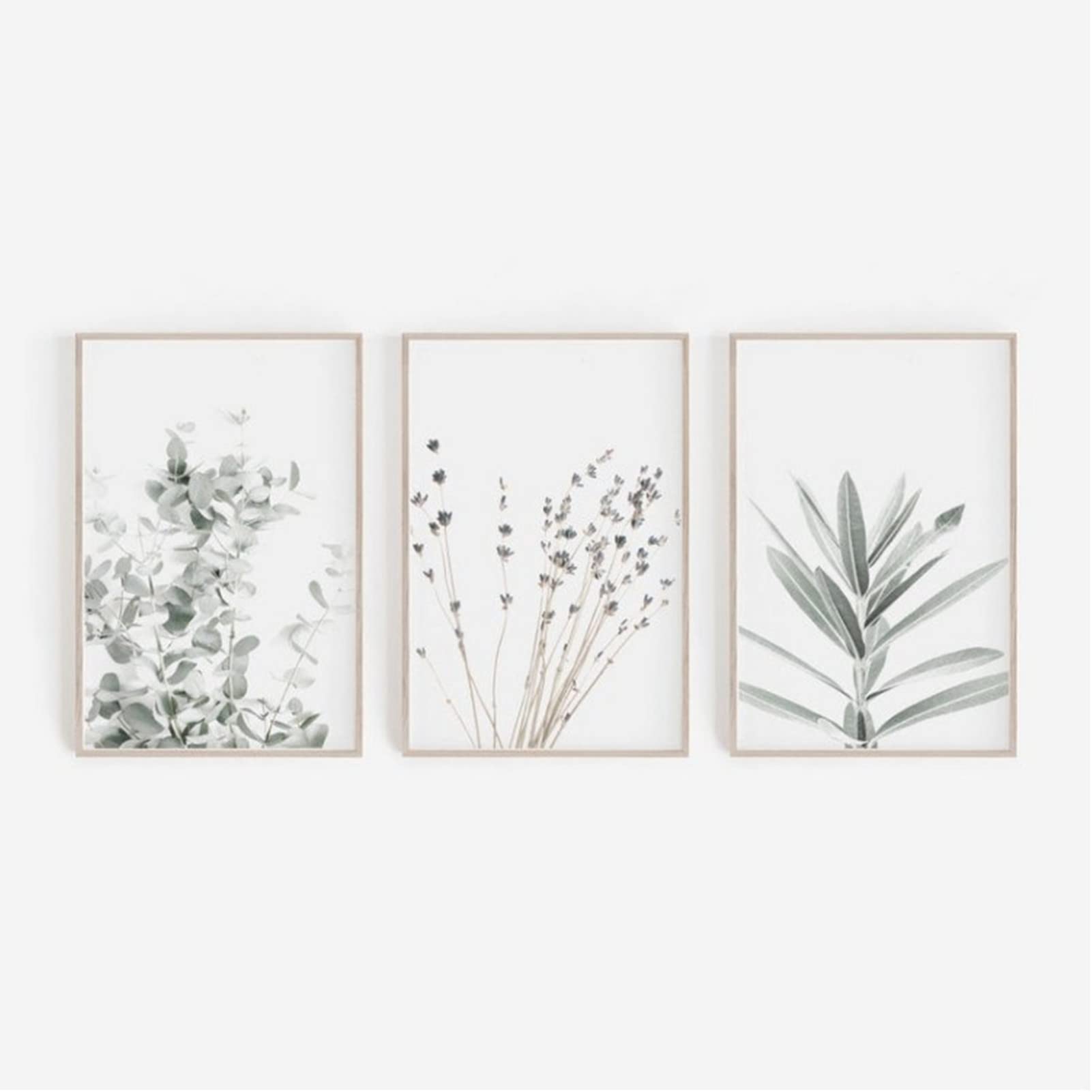 ZOYIEP Set of 3 Posters for Living Room, Pictures Decoration Bedroom, Lavender, Eucalyptus Plant, Stylish Wall Pictures, without Picture Frame (13 x 18 cm)