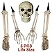 Yosager Skeleton Stakes Realistic Skull and Arms Legs Halloween Yard Stakes, Indoor Outdoor Graveyard Lawn Decorations, Set of 5 Life Size