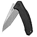 Kershaw Link Tanto Folding Pocket Knife (1776T) with SpeedSafe Assisted Opening, 3.25 Inch 420HC Stainless Steel Blade, Including Liner Lock, Flipper and Reversible Clip; 4 oz.
