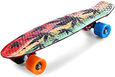 HYY@ New Arrivals Printing Maple Leaf Skateboard Complete 22 inch Retro Cruiser Long board Skatecycle For Child