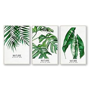Framed Canvas Wall Art for Living Room, Bedroom Beautiful Plants Cactus Canvas Prints for Home Decoration Ready to Hanging - 16"x24"x3 Panels