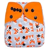 HappyEndings Charcoal /Bamboo /Organic Cotton /Micro Fleece AI2TM All-In-Two Cloth Diaper / Snap-in Insert & Pocket (Micro Fleece 
