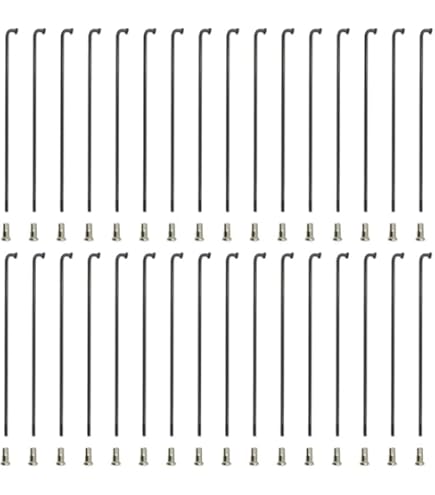 DAMIFU Electric Vehicle Ebike Stainless Steel SPOKES Electric Bicycle Bike Accessories 13g Silver 189mm