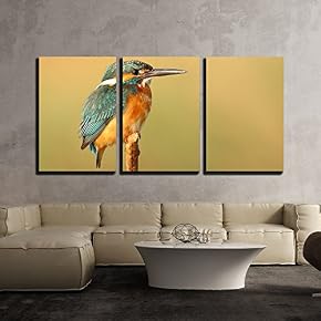 Closeup of a Bird Stand on The Branch x3 Panels