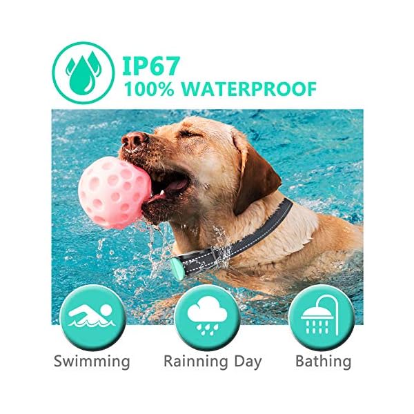 besthing dog training collar manual