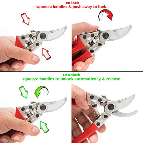 SWILIER Bypass Pruning Shears Professional Hand Trimmers Secateur