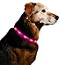 Illumiseen LED Dog Necklace Collar - USB Rechargeable Loop - Available in 6 Colors - Makes Your Dog Visible, Safe & Seen