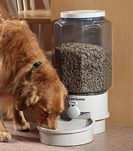 large dog auto feeder