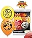 Kung Fu Panda Balloons - 6 Kung Fu Panda Latex Balloons