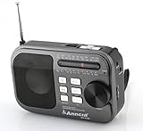 Anncia New Portable FM/AM/SW radio Speaker with Micro TF card and USB flash driver MP3 player. (1106 Grey)