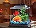 Koller Products 1.5-Gallon AquaScene Aquarium with LED Lighting