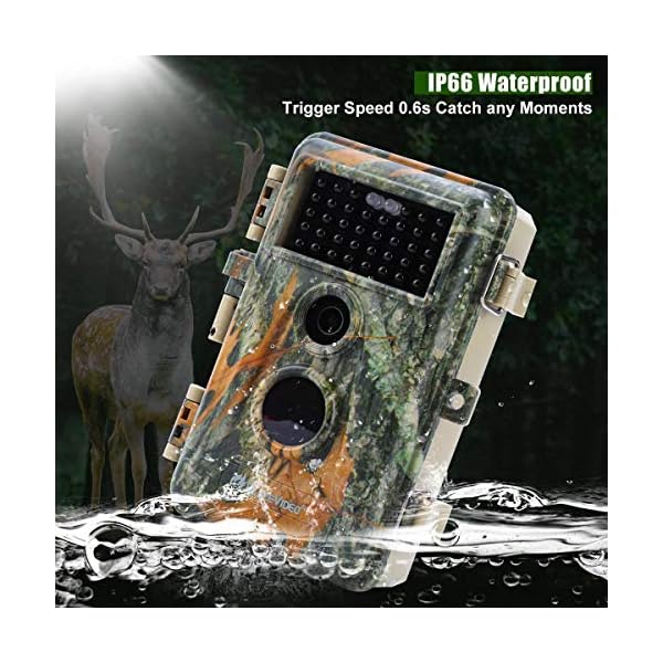 BlazeVideo 48MP Wildkamera Nachtsichtkamera Wildtier Kamera mit 1296P H.264 MPV Video, Bewegungmelder Nachtsicht Zeittraffer, IP66 Wasserdicht und 2,4" Bildschirm – Bild 4