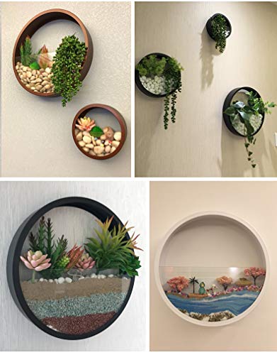 Comprar Ecosides -Macetas Colgantes Redondas,Metal Macetas de Pared