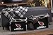 Franklin Sports NFL Storage Footlocker Bins - Large Folding Organizer Containers - NFL Team Office, Bedroom + Living Room Décor - Large + Small Bins
