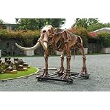 全長５.８ｍ！スケルトン・マストドン（マンモス骨格） 超巨大造形物（恐竜等身大フィギュア）