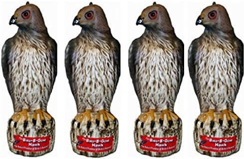 Bird B Gone INC MMRTH1 Decoy Hawk - 4