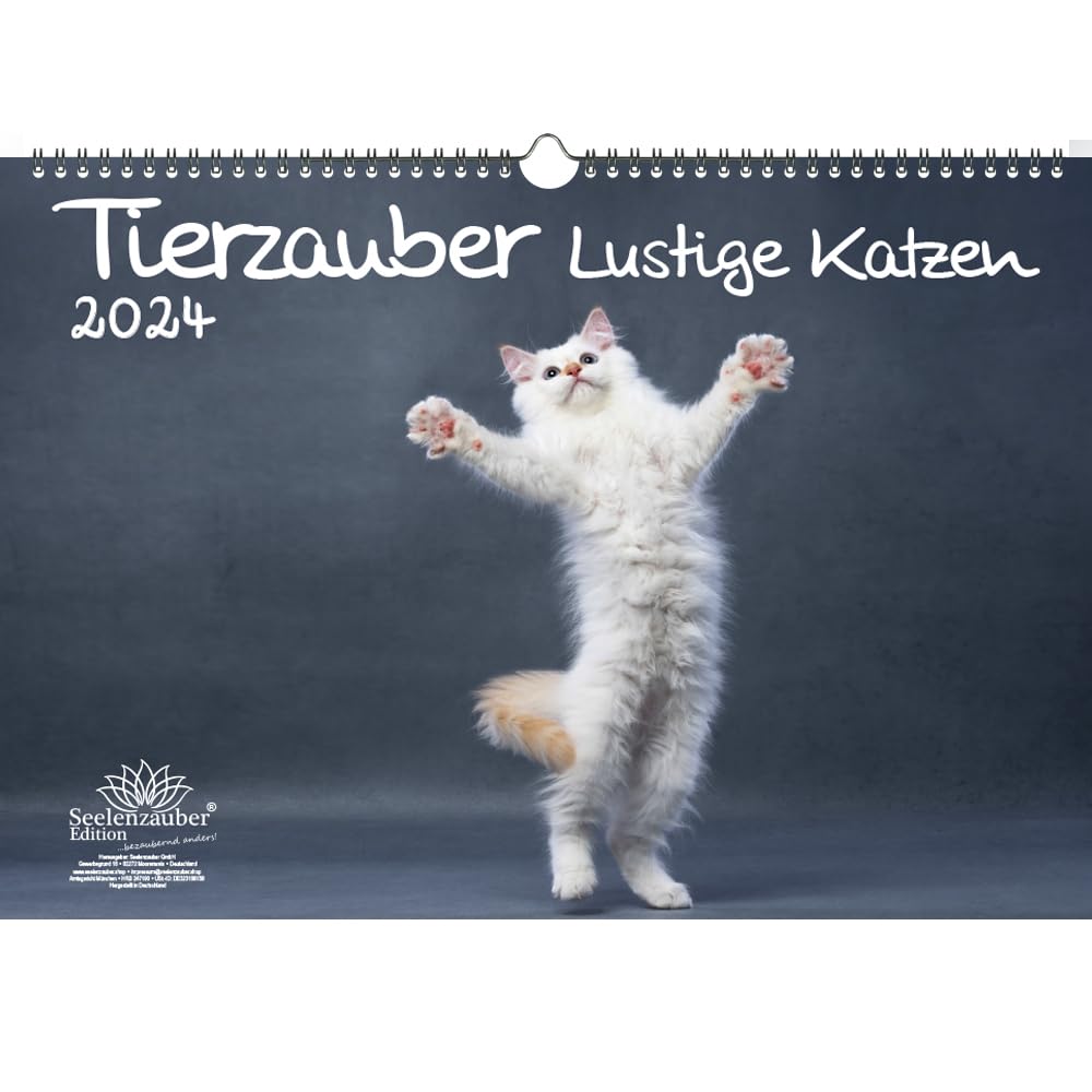 Animal Magic Funny Cats DIN A3 Calendar for 2024 Funny Cats Seelenzauber