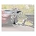 CURT 18035 Towable Trailer Hitch Bike Rack Mount, Fits 2-Inch Receiver, 2,000 lbs, 4 Bicycles
