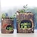 Tinksky Cute Green Frog Flower Sedum Succulent Pot Planter Bonsai Trough Box Plant Bed Office Desk Home Garden Pot Decor