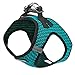 Voyager Step-in Air Dog Harness - All Weather Mesh, Reflective, No Pull Harness for Small, Medium Dogs, Cats - Secure with Hook & Loop Fastener, Buckle, Double D-Rings - Turquoise 2-Tone, M