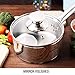 HOMI CHEF Mirror Polished NICKEL FREE Stainless Steel 1 QT(Quart) Sauce Pan with Lid (No Toxic Non Stick Coating, 5.5 Inch) - Mini Saucepan Cookware - Sauce Pot Handy Pot - Small Cooking Pot