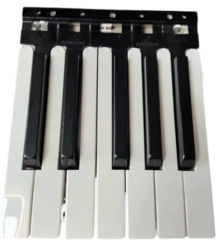 Amazon.com: 7PCS For Korg PA900 PA1000 For Krome 61 73 Semi