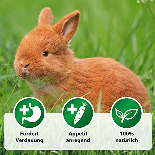 Röhnfried Darmwohl Voedingssupplement (250 ml) voor knaagdieren, pluimvee en kleine dieren, bevordert de spijsvertering… - Afbeelding 4