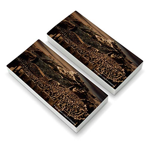 Labyrinth Hedge Maze Goblin City Eraser Set of 2