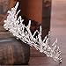Costume Photography Wedding Accessories Rhinestone Headband Queen Bridal Crown,Ice Cone Shape (White)
