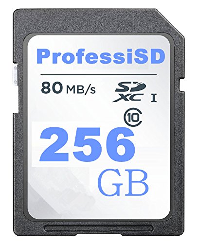 256GB High Speed SDXC Performance Class 10 UHS-I Flash Memory Card (256GB)