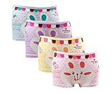 Mmiao Baby 2t-10t Kids Girls Briefs 4-pack Boyshort Underwear Rabbit (6-8)