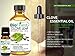 BioFinest Clove Leaf Oil - 100% Pure Clove Essential Oil - Premium Organic - Therapeutic Grade - Best For Tooth Aches - Anti-Bacteria - Natural Skin Care - FREE Essential Oil Guide (10ml)