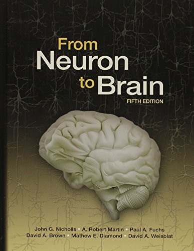 From Neuron to Brain, Fifth Edition with Neurons in Action 2: Tutorials and Simulations using NEURON Download