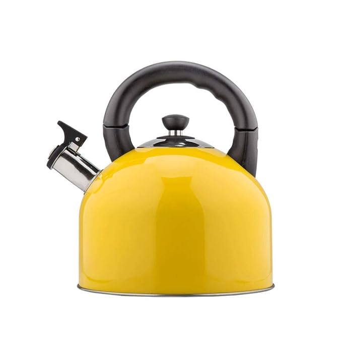 Gas kettle large capacity kettle 304 stainless steel kettle (color A