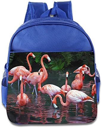 Custom Cool Flamingo Boys And Girls School Bagpack For 1-6 Years Old RoyalBlue
