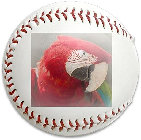 Nvthenpiaoliang Red Macaw Bird Soft Standard Practice Ball Baseball Game Ball