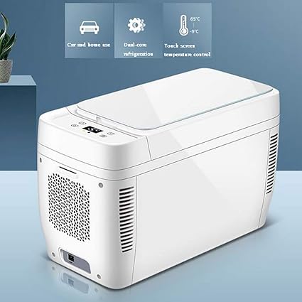 Amazon.es: 11-L Nevera Portatil Electrica Nevera Coche 12V/220 ...