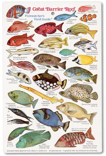 Great Barrier Reef Fishwatchers Fish Guide ID Card - Buy Online in UAE. | Sporting Goods ...