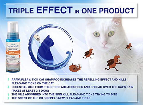 Arava Flea & Tick Prevention for Cats - 4-Doses – Puppy & Cat Flea Treatment - Botanical Flea & Tick Control Drops Repel Pests with Natural Oils – 100% Safe for Pets - Enhanced Defense & Prevention - Thumbnail 2