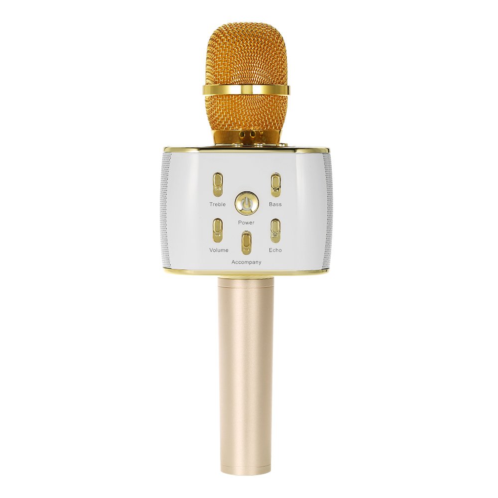 q5 karaoke microphone and speaker