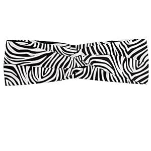 51V%2BRYDbvbL. SS300