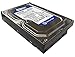 Western Digital Caviar SE (WD3200AAJS) 320GB 8MB Cache 7200RPM SATA 3.0Gb/s 3.5in Internal Desktop Hard Drive [Renewed]- w/ 1 Year Warranty