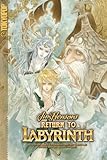 Return to Labyrinth Volume 2 (v. 2) by